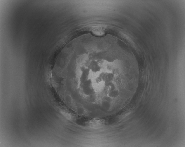 X0000072520307200607141205