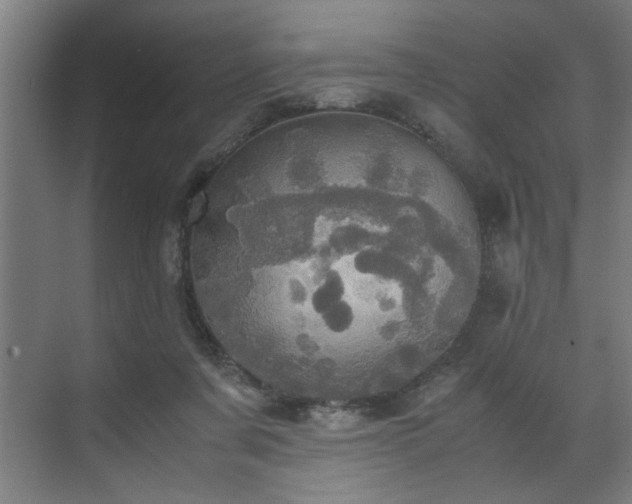 X0000072520311200607141205