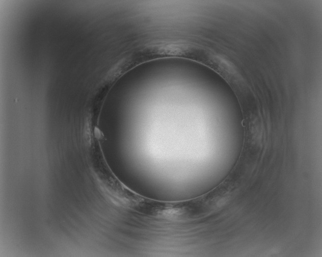 X0000072520312200607141205