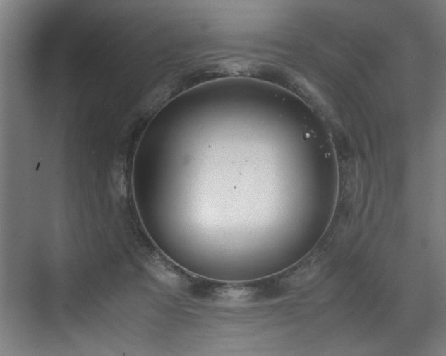 X0000072520313200607141205