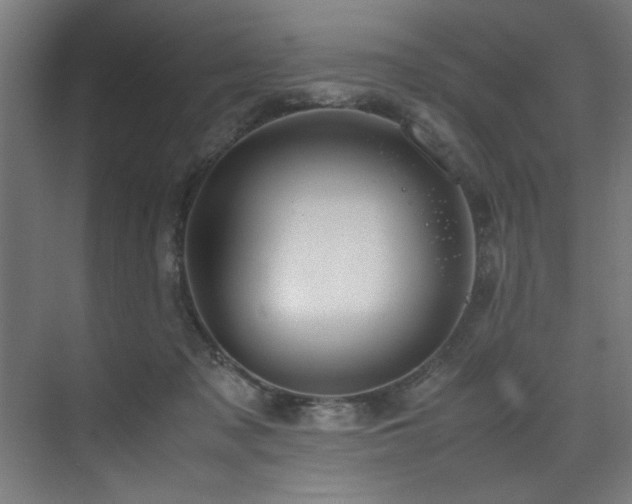 X0000072520317200607141204