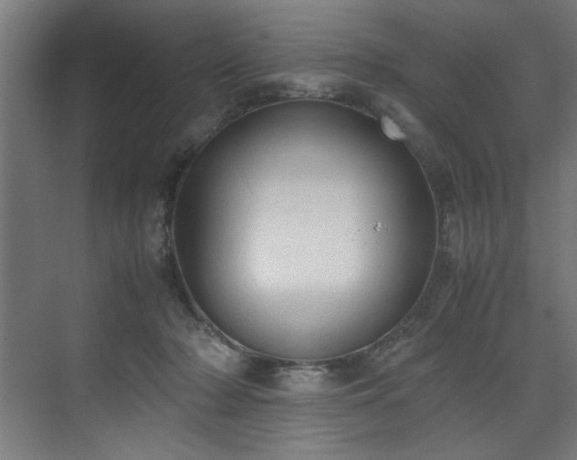 X0000072520318200607141204