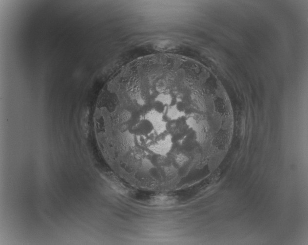 X0000072520319200607141204