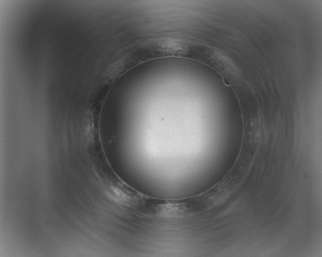 X0000072520320200607141204