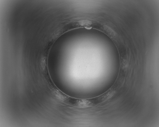 X0000072520321200607141204