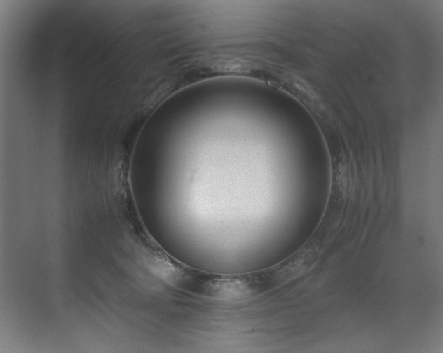 X0000072520322200607141204