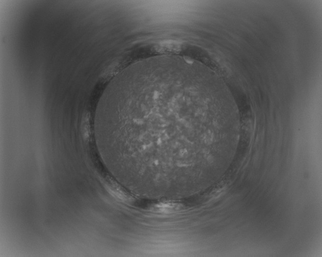 X0000072520323200607141204