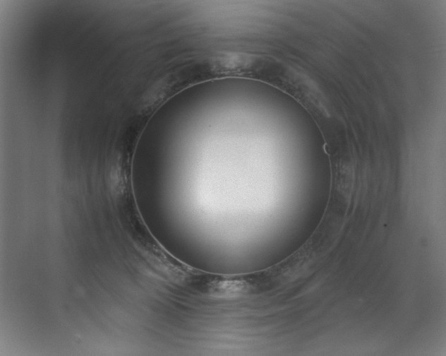 X0000072520324200607141204