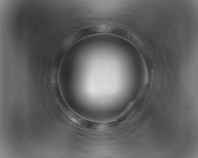 X0000072520325200607141204