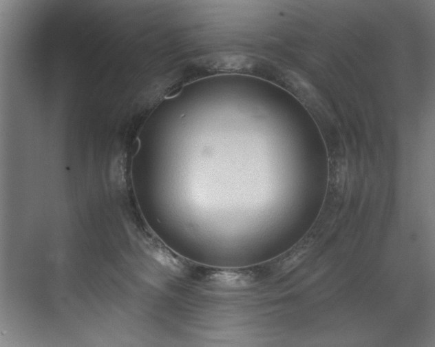 X0000072520326200607141204