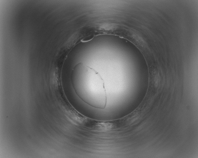 X0000072520328200607141204