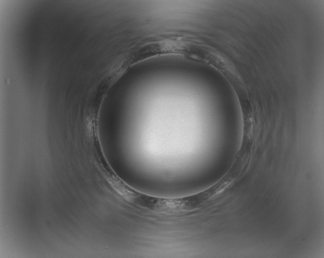 X0000072520329200607141204