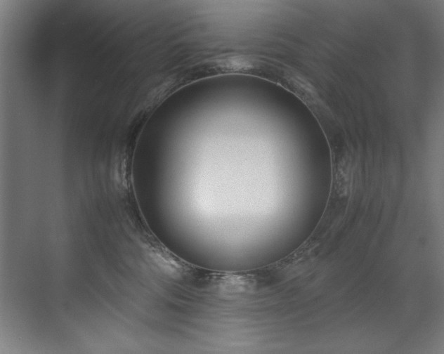 X0000072520330200607141204