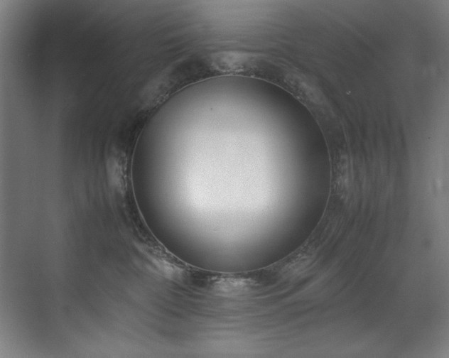 X0000072520332200607141204