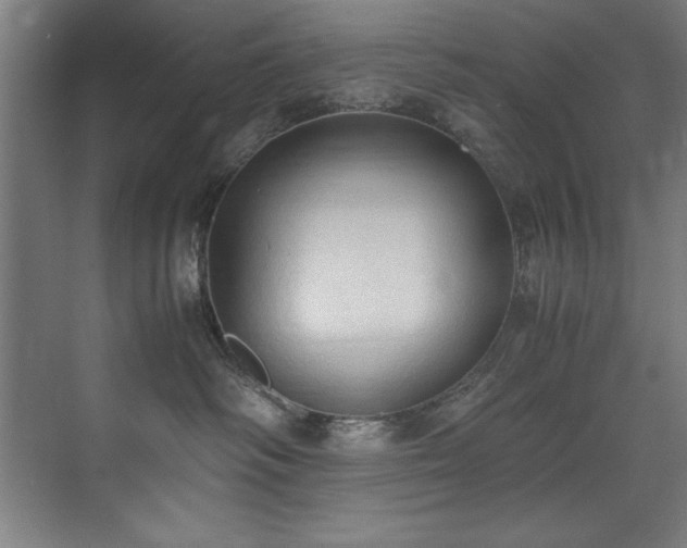 X0000072520334200607141204