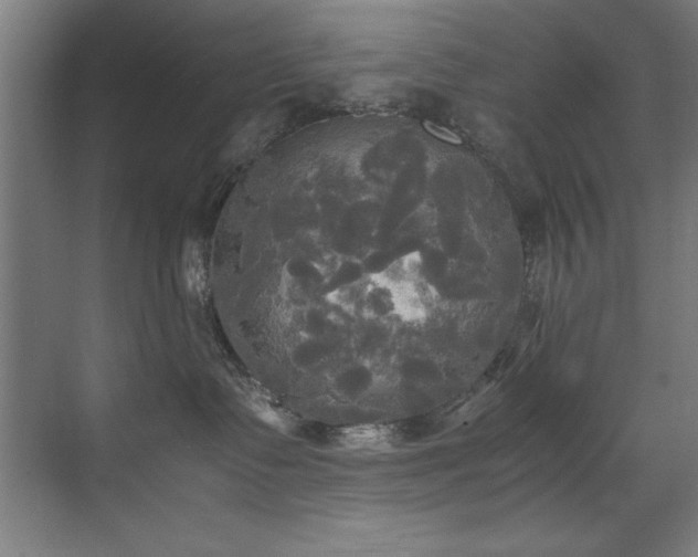 X0000072520335200607141204