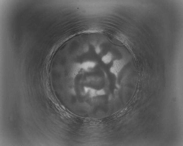 X0000072520337200607141203