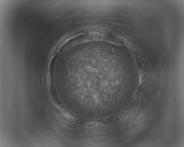 X0000072520339200607141203