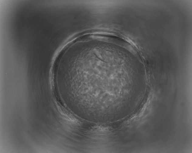 X0000072520343200607141203