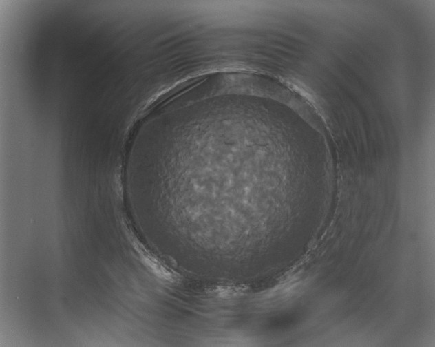 X0000072520345200607141203