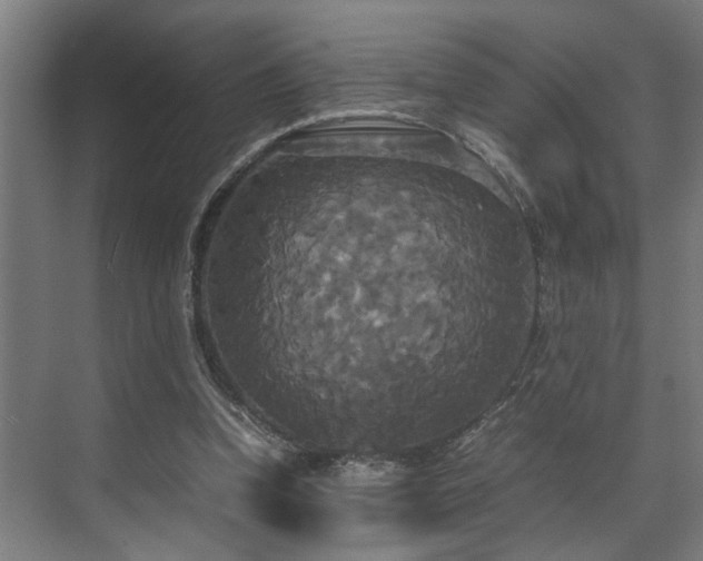 X0000072520346200607141204