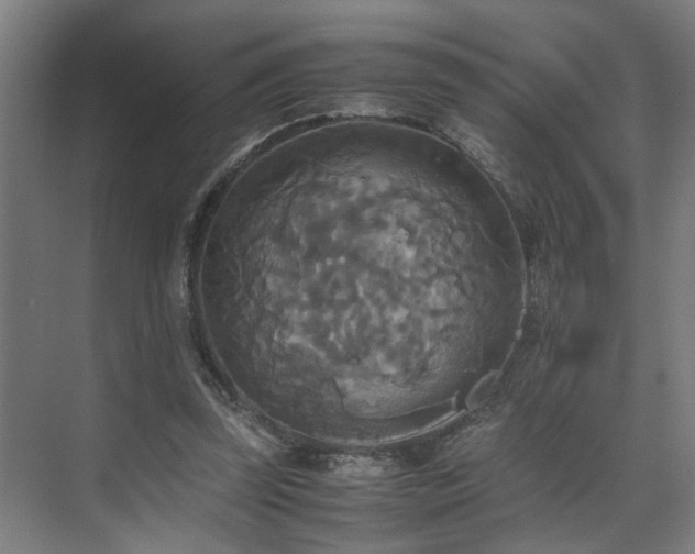 X0000072520347200607141204