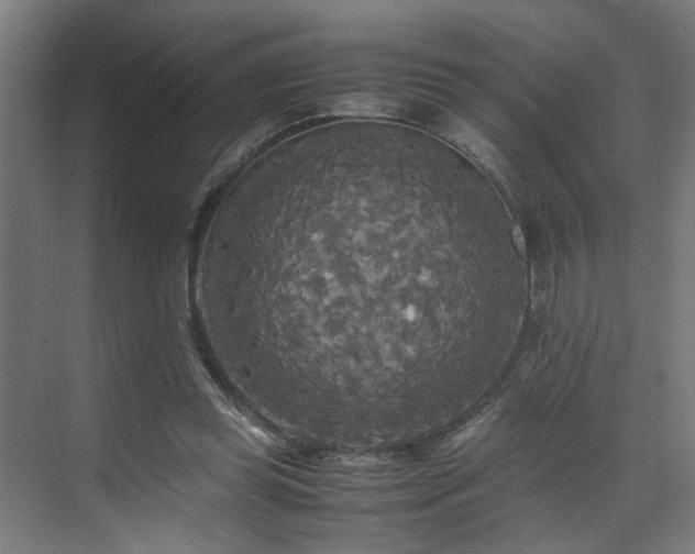 X0000072520349200607141204