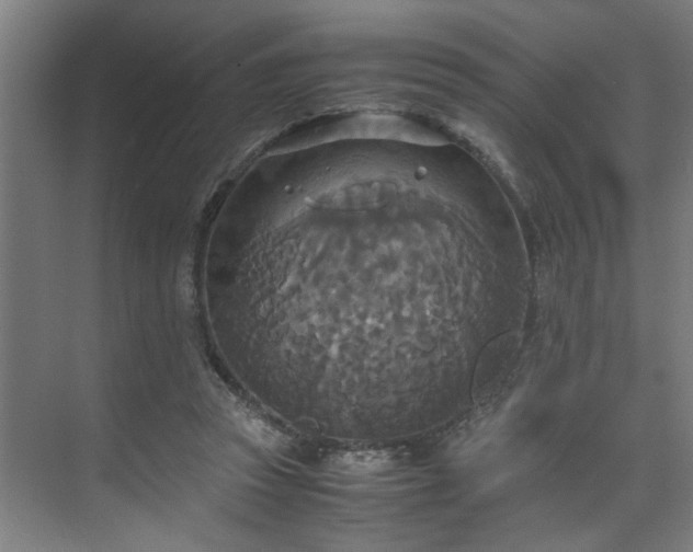 X0000072520353200607141204