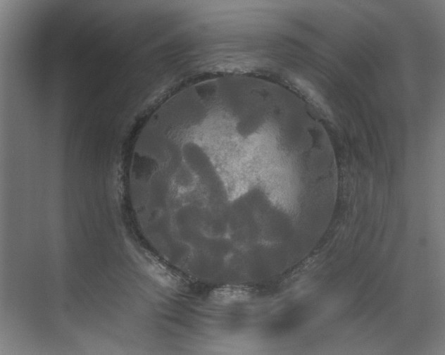 X0000072520354200607141204