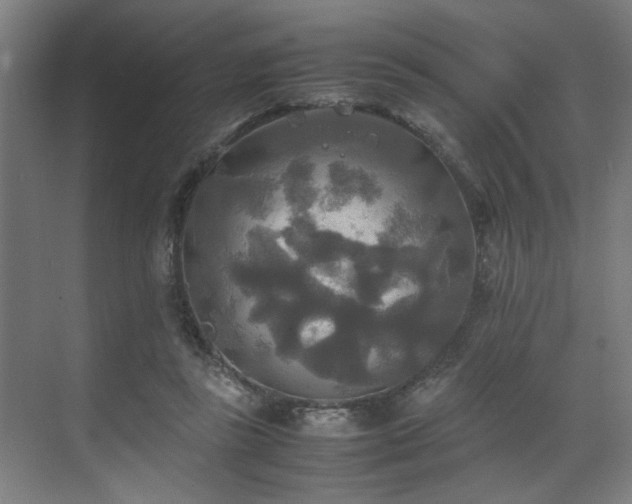 X0000072520355200607141204