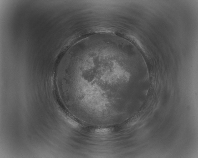 X0000072520357200607141204