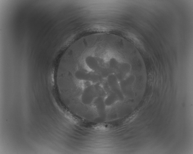 X0000072520358200607141204