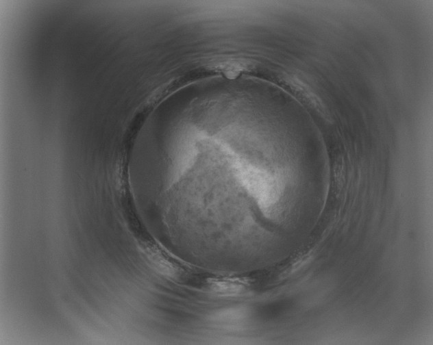 X0000072520359200607141204