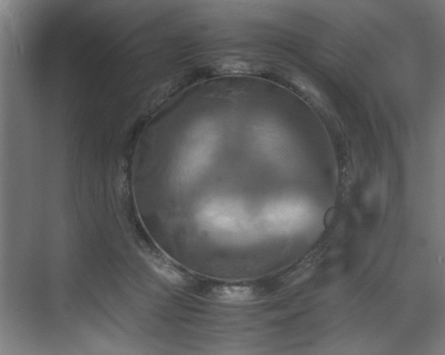 X0000072520361200607141204