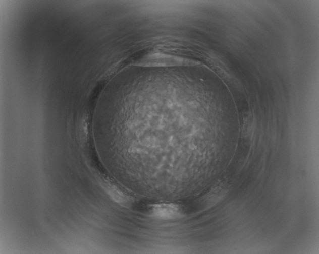 X0000072520363200607141204