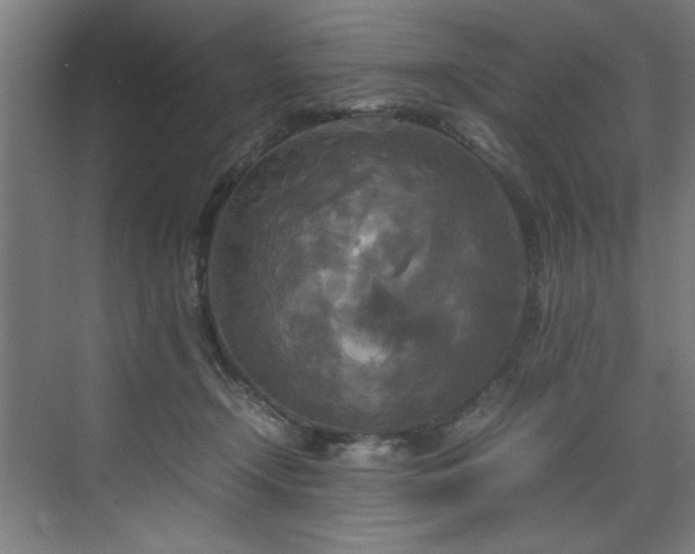 X0000072520366200607141204