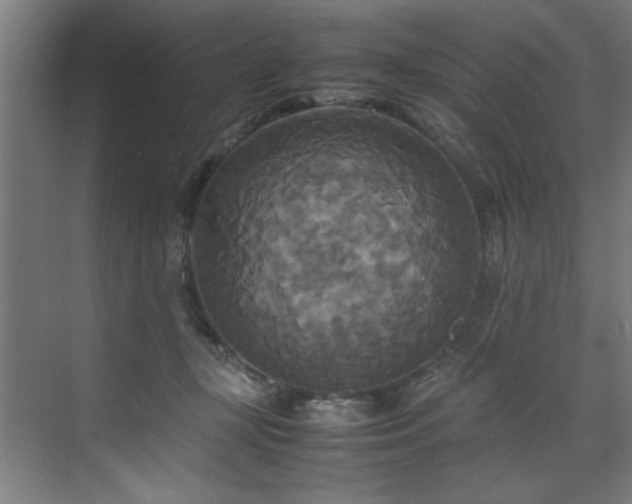 X0000072520367200607141204