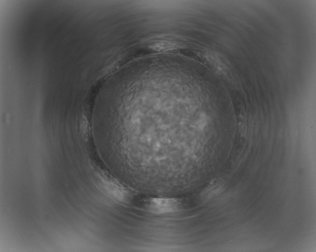 X0000072520371200607141204