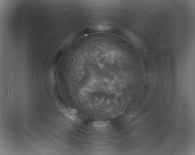 X0000072520373200607141204