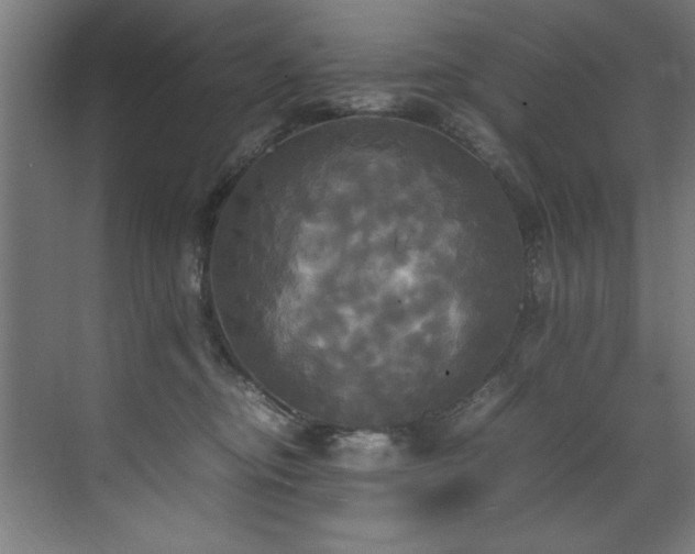 X0000072520374200607141204