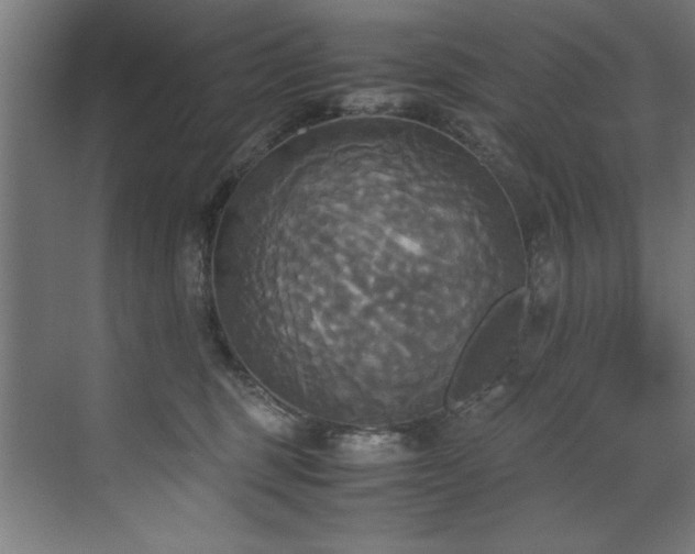 X0000072520375200607141204