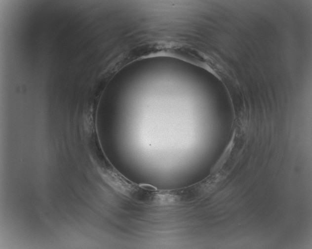 X0000072520376200607141204