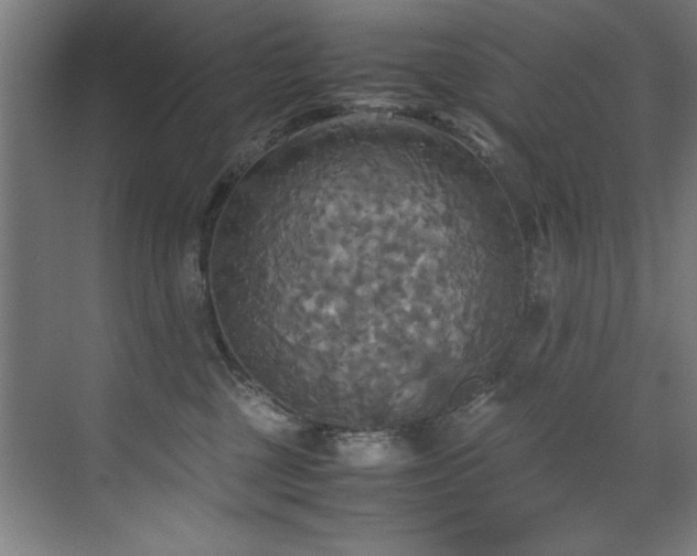 X0000072520377200607141204