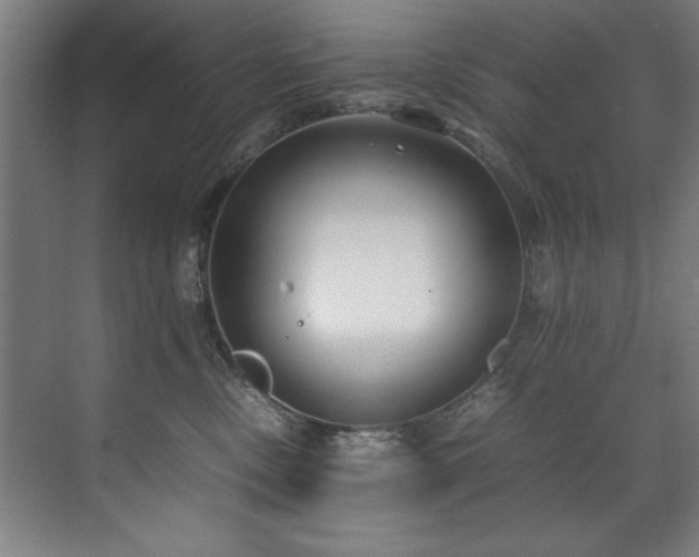 X0000072520378200607141204