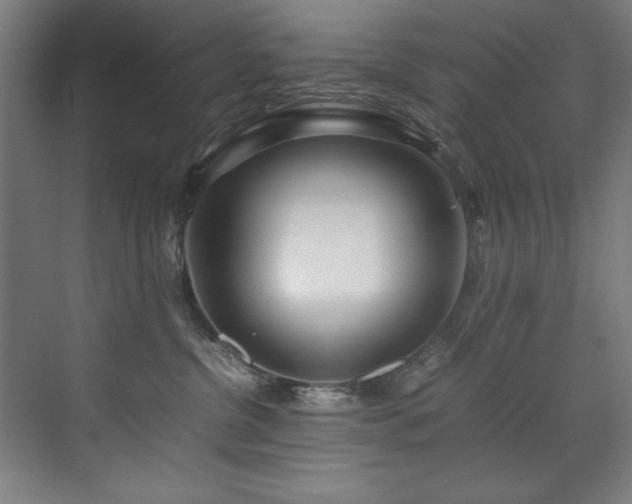 X0000072520380200607141204