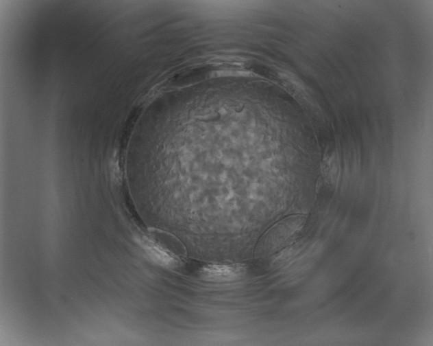 X0000072520381200607141204