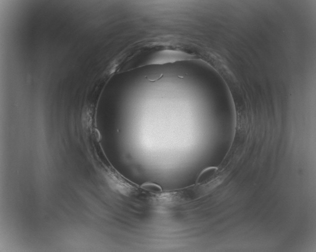 X0000072520382200607141204