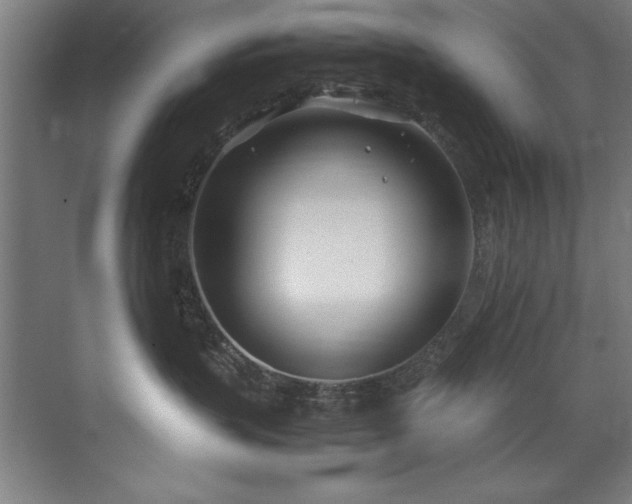 X0000072520383200607141204