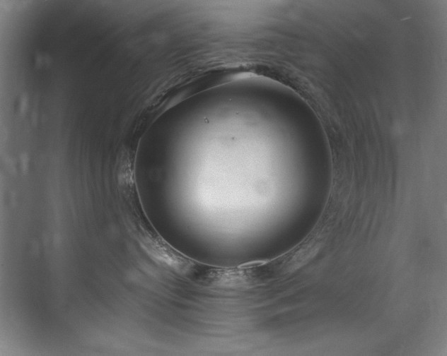 X0000072520384200607141204