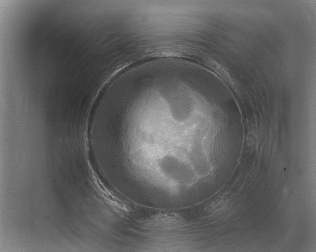 X0000072520386200607141203